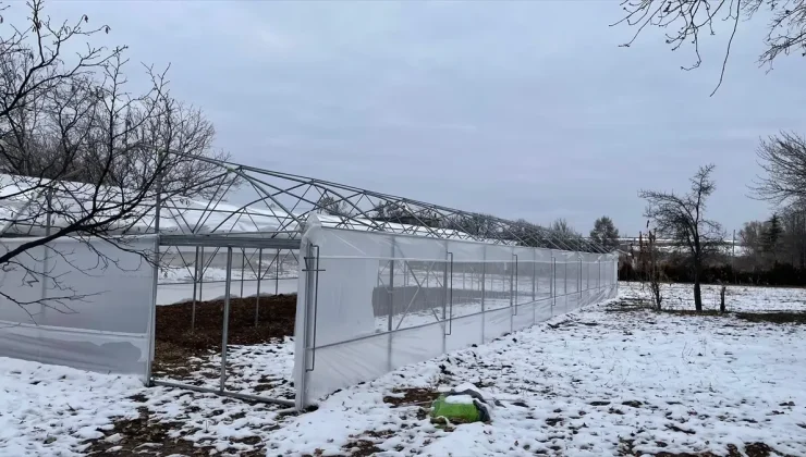 Beyşehir’de Yaz Seraları Yaygınlaşıyor